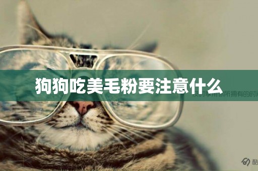 狗狗吃美毛粉要注意什么