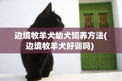 邊境牧羊犬幼犬飼養方法(邊境牧羊犬好訓嗎) 