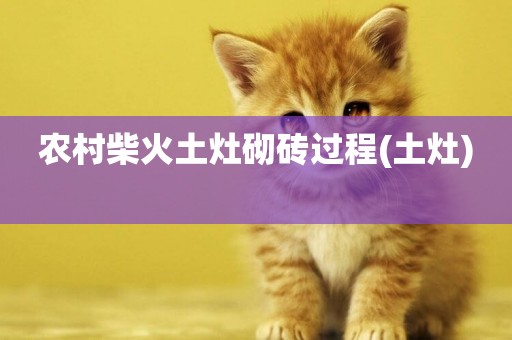農村柴火土灶砌磚過程(土灶) 