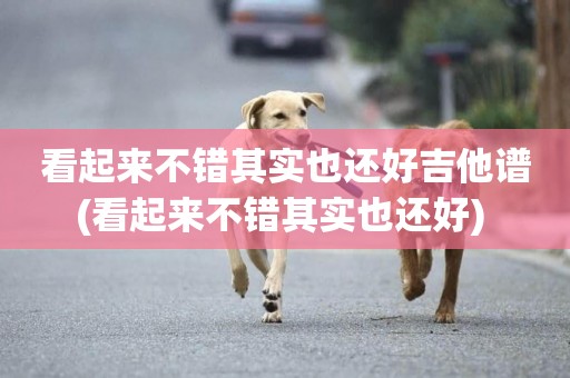 看起來不錯其實也還好吉他譜(看起來不錯其實也還好) 