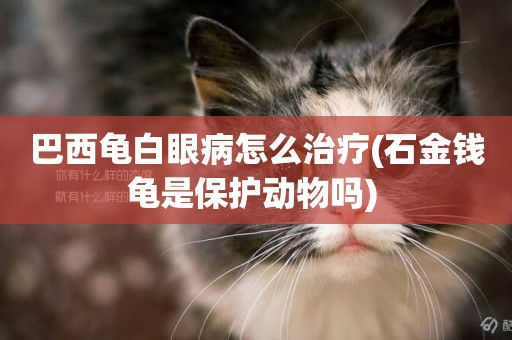 巴西龜白眼病怎么治療(石金錢龜是保護動物嗎) 