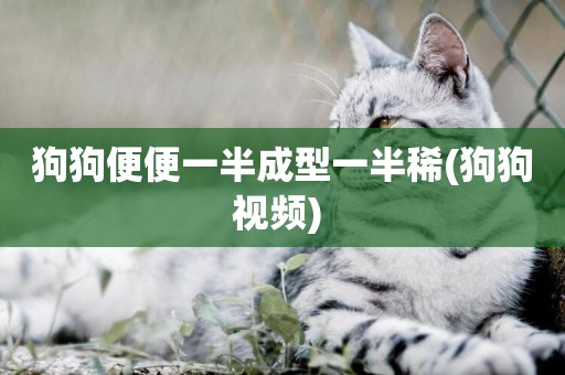 狗狗便便一半成型一半稀(狗狗視頻) 