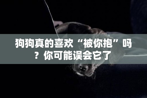 狗狗真的喜歡“被你抱”嗎？你可能誤會它了 