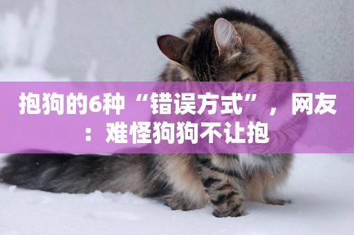 抱狗的6種“錯誤方式”，網友：難怪狗狗不讓抱 