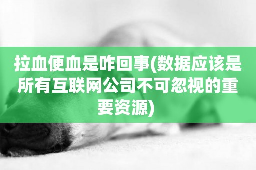 拉血便血是咋回事(數據應該是所有互聯網公司不可忽視的重要資源) 