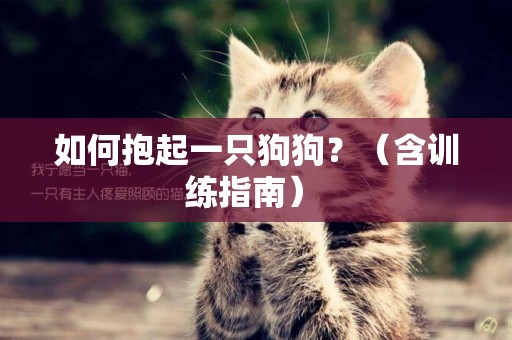 如何抱起一只狗狗？（含訓練指南） 