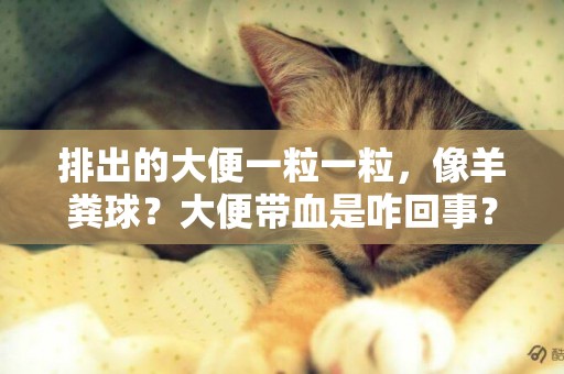 排出的大便一粒一粒，像羊糞球？大便帶血是咋回事？嚴重嗎？ 