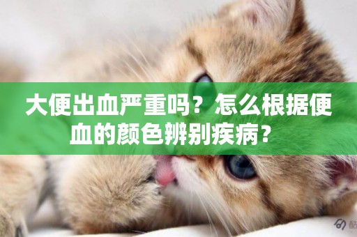 大便出血嚴重嗎？怎么根據便血的顏色辨別疾病？ 