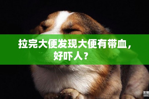 拉完大便發現大便有帶血，好嚇人？ 