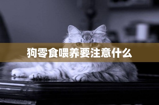狗零食喂養要注意什么