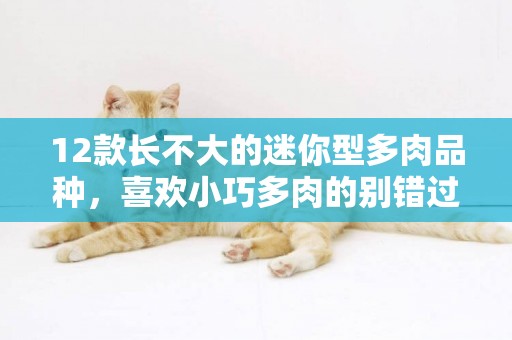 12款長不大的迷你型多肉品種，喜歡小巧多肉的別錯過啦 