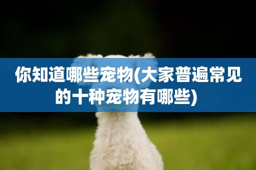 你知道哪些寵物(大家普遍常見的十種寵物有哪些) 
