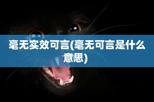 毫無實效可言(毫無可言是什么意思) 
