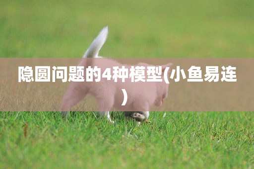 隱圓問題的4種模型(小魚易連) 