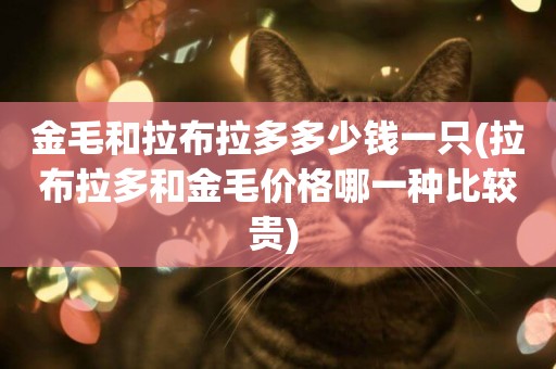 金毛和拉布拉多多少錢一只(拉布拉多和金毛價格哪一種比較貴) 