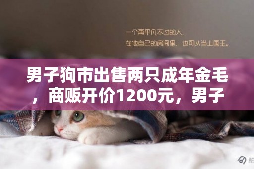男子狗市出售兩只成年金毛，商販開價1200元，男子表示1500一只！ 