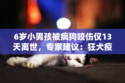 6歲小男孩被瘋狗咬傷僅13天離世，專家建議：狂犬疫苗越早打越好 