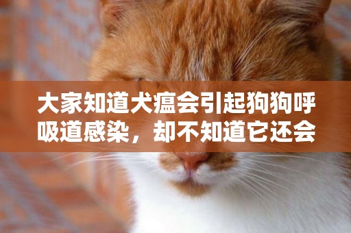 大家知道犬瘟會引起狗狗呼吸道感染，卻不知道它還會引起皮膚病 