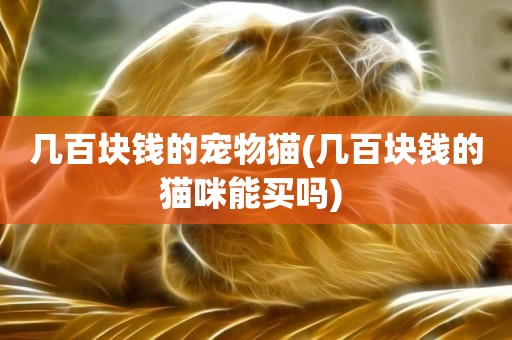 幾百塊錢的寵物貓(幾百塊錢的貓咪能買嗎) 