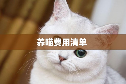 養喵費用清單 