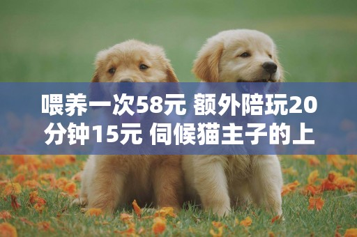 喂養一次58元 額外陪玩20分鐘15元 伺候貓主子的上門服務你買單嗎？ 