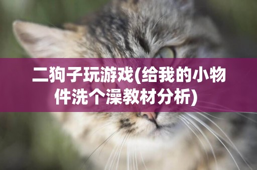 二狗子玩游戲(給我的小物件洗個澡教材分析) 