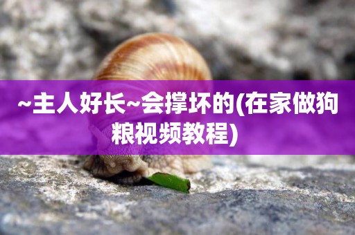 ~主人好長~會撐壞的(在家做狗糧視頻教程) 