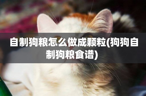 自制狗糧怎么做成顆粒(狗狗自制狗糧食譜) 