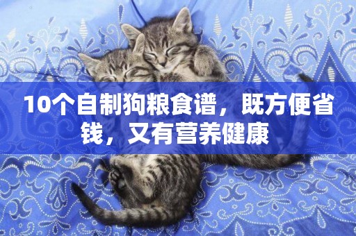 10個自制狗糧食譜，既方便省錢，又有營養健康 