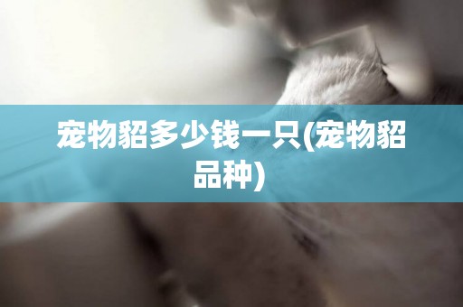 寵物貂多少錢一只(寵物貂品種) 