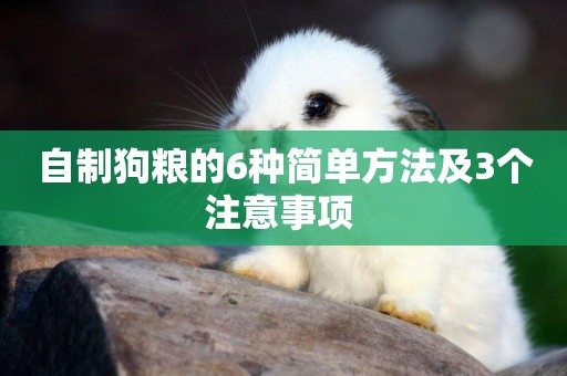 自制狗糧的6種簡單方法及3個注意事項 