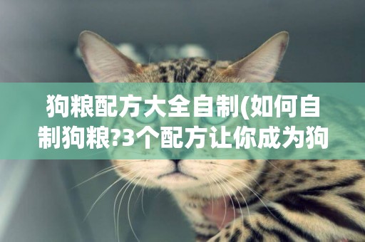 狗糧配方大全自制(如何自制狗糧?3個配方讓你成為狗糧達人!) 