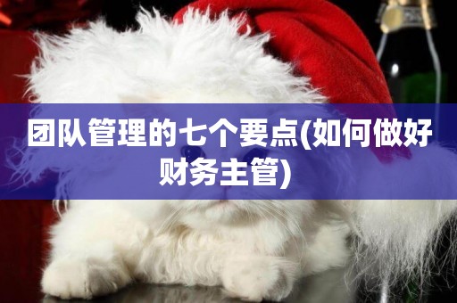 團隊管理的七個要點(如何做好財務主管) 