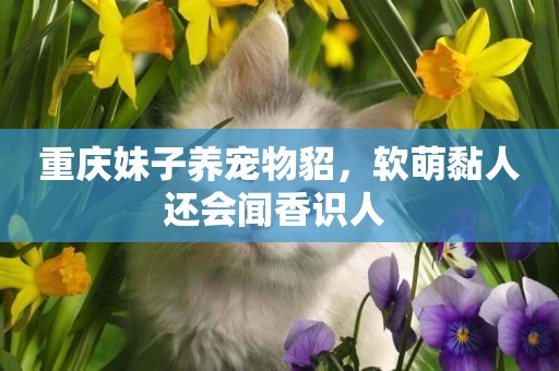 重慶妹子養寵物貂，軟萌黏人還會聞香識人 