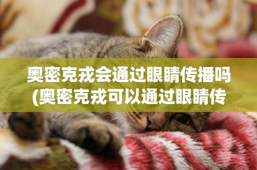 奧密克戎會通過眼睛傳播嗎(奧密克戎可以通過眼睛傳播) 