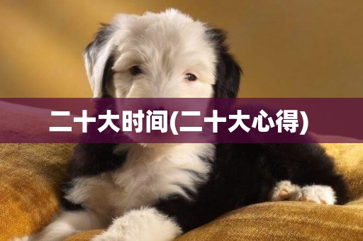 二十大時間(二十大心得) 