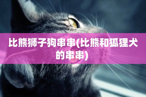 比熊獅子狗串串(比熊和狐貍犬的串串) 