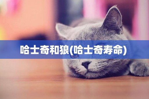 哈士奇和狼(哈士奇壽命) 
