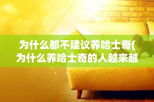 為什么都不建議養哈士奇(為什么養哈士奇的人越來越多) 
