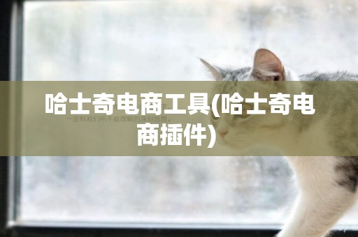 哈士奇電商工具(哈士奇電商插件) 