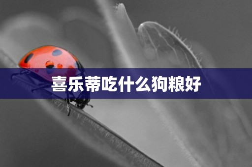 喜樂蒂吃什么狗糧好