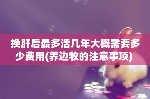 換肝后最多活幾年大概需要多少費用(養邊牧的注意事項) 