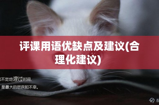 評課用語優缺點及建議(合理化建議) 