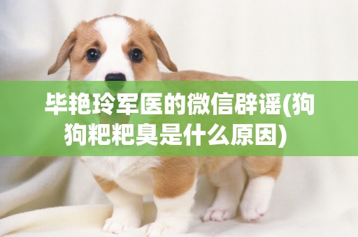畢艷玲軍醫的微信辟謠(狗狗粑粑臭是什么原因) 