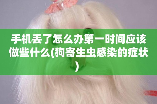 手機丟了怎么辦第一時間應該做些什么(狗寄生蟲感染的癥狀) 