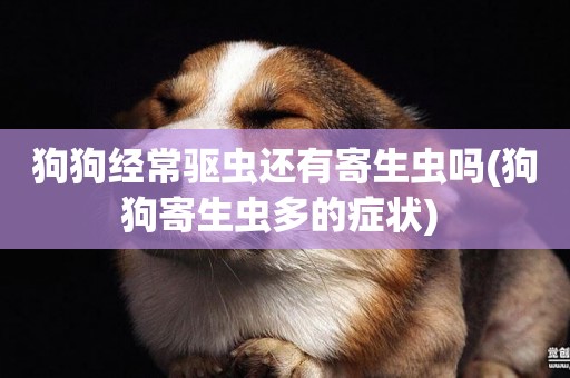 狗狗經常驅蟲還有寄生蟲嗎(狗狗寄生蟲多的癥狀) 