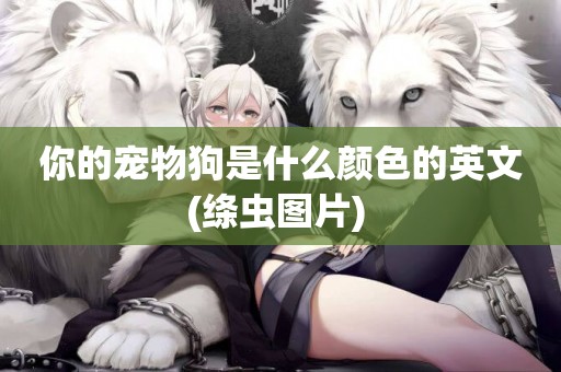 你的寵物狗是什么顏色的英文(絳蟲圖片) 