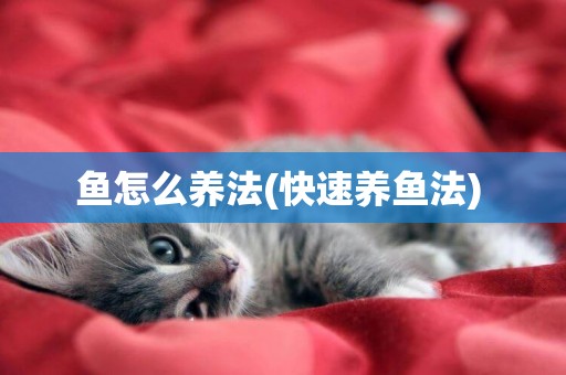 魚怎么養法(快速養魚法) 