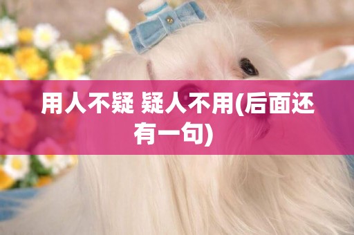 用人不疑 疑人不用(后面還有一句) 