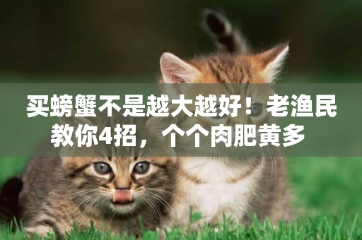 買螃蟹不是越大越好！老漁民教你4招，個個肉肥黃多 